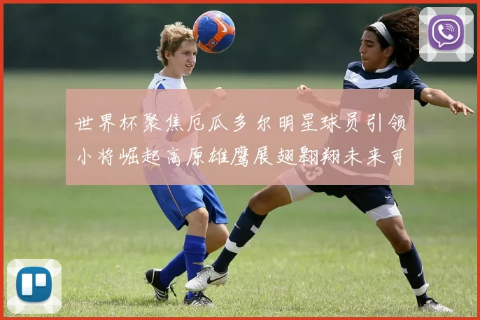 世界杯聚焦厄瓜多尔明星球员引领小将崛起高原雄鹰展翅翱翔未来可期
